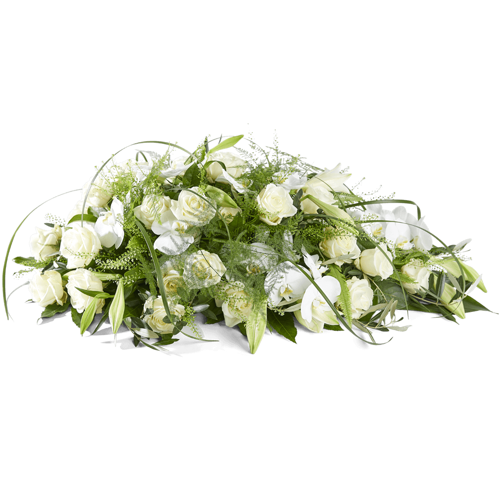 k 500810105 Vaarwel Druppel v